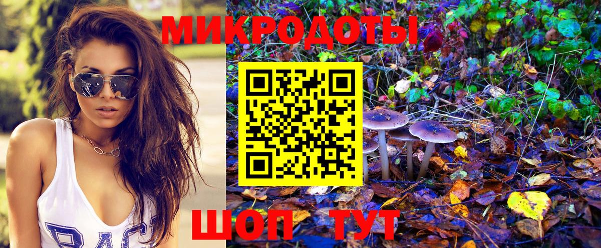 Псилоцибиновые грибы Cubensis  продажа наркотиков  Псилоцибиновые грибы мухоморы  Горно-Алтайск  Вход с VPN 