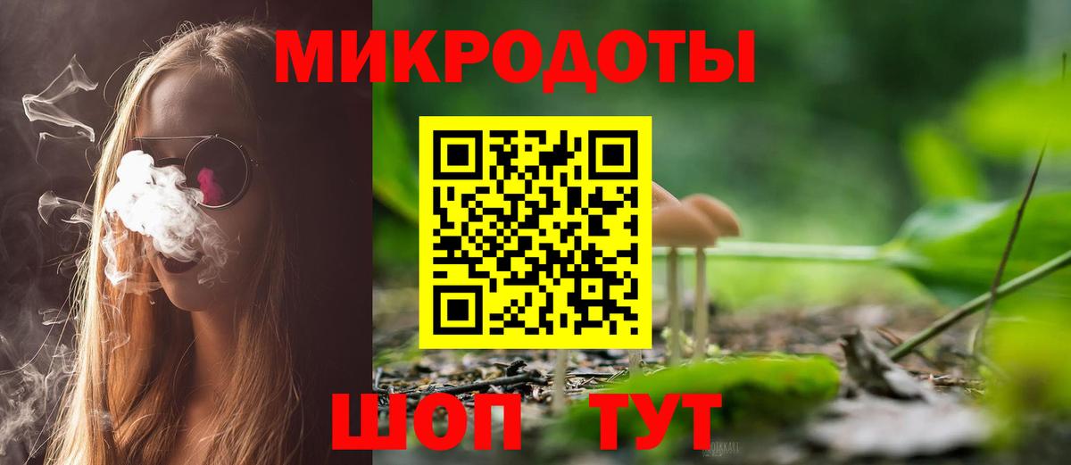 Псилоцибиновые грибы мицелий Горно-Алтайск